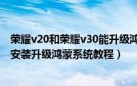 荣耀v20和荣耀v30能升级鸿蒙系统吗（荣耀v20和荣耀v30安装升级鸿蒙系统教程）