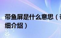 带鱼屏是什么意思（带鱼屏显示器的优缺点详细介绍）