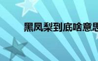 黑凤梨到底啥意思 黑凤梨什么意思