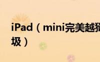 iPad（mini完美越狱后用iTools清理系统垃圾）