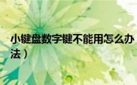 小键盘数字键不能用怎么办（小键盘数字键不能用的解决方法）