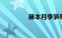 藤本月季笋芽需要打顶吗