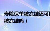 寿险保单被冻结还可以续保吗（寿险保单可以被冻结吗）