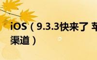 iOS（9.3.3快来了 苹果关闭iOS9.3.1的验证渠道）