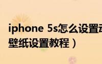 iphone 5s怎么设置动态壁纸（iphone5动态壁纸设置教程）