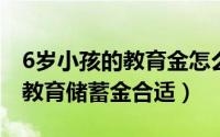 6岁小孩的教育金怎么储蓄好（儿童几岁考虑教育储蓄金合适）