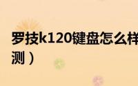 罗技k120键盘怎么样（罗技K120键盘开箱评测）