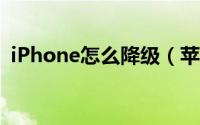 iPhone怎么降级（苹果手机降级图文教程）