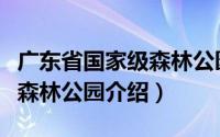 广东省国家级森林公园有哪些（广东省国家级森林公园介绍）