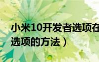 小米10开发者选项在哪（小米10开启开发者选项的方法）