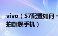 vivo（S7配置如何 一图看懂vivo S7 轻薄自拍旗舰手机）