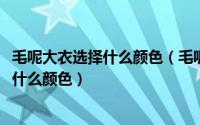 毛呢大衣选择什么颜色（毛呢大衣什么颜色好看2018年流行什么颜色）