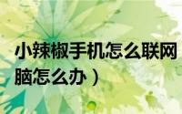 小辣椒手机怎么联网（小辣椒手机连接不上电脑怎么办）