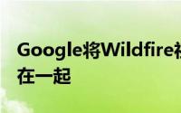 Google将Wildfire社交营销与其他平台集成在一起