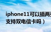 iphone11可以插两张电信卡吗（iphone11支持双电信卡吗）