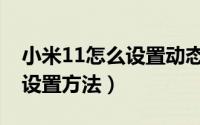 小米11怎么设置动态壁纸（小米11动态壁纸设置方法）