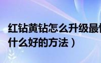 红钻黄钻怎么升级最快（红黄钻怎么升级快有什么好的方法）