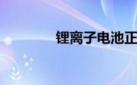 锂离子电池正负极补锂技术