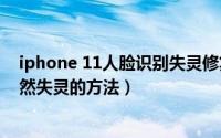 iphone 11人脸识别失灵修复（解决iphone11人脸识别突然失灵的方法）