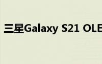 三星Galaxy S21 OLED面板可能来自京东方