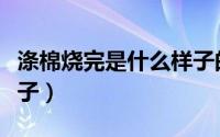 涤棉烧完是什么样子的（人棉纱烧一下什么样子）