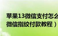 苹果13微信支付怎么设置指纹（苹果13设置微信指纹付款教程）