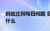 蚂蚁庄园每日问题 目前世界上最大的鱼类是什么