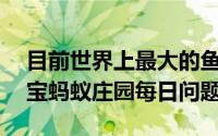 目前世界上最大的鱼类是什么 4月29日支付宝蚂蚁庄园每日问题