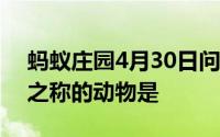 蚂蚁庄园4月30日问题答案 古时候有食铁兽之称的动物是