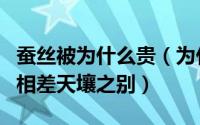 蚕丝被为什么贵（为什么同样是蚕丝被价格却相差天壤之别）