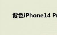 紫色iPhone14 Pro概念渲染图曝光