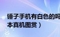 锤子手机有白色的吗（10张锤子手机白色版本真机图赏）