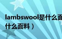 lambswool是什么面料成分（lambswool是什么面料）