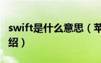 swift是什么意思（苹果swift编程语言特点介绍）