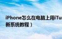 iPhone怎么在电脑上用iTunes更新固件（苹果手机电脑更新系统教程）