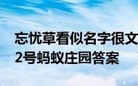 忘忧草看似名字很文艺但它实际上就是 4月22号蚂蚁庄园答案