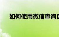 如何使用微信查询自己的社保交纳情况