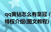 qq黄钻怎么有皇冠（QQ黄钻LV8级皇冠图标特权介绍(图文教程)）