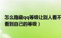 怎么隐藏qq等级让别人看不见（怎么隐藏QQ等级不让好友看到自己的等级）