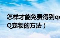 怎样才能免费得到qq宠物（90%免费领取QQ宠物的方法）