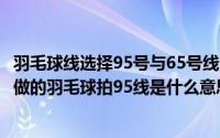 羽毛球线选择95号与65号线的区别（羽毛球拍里的线是什么做的羽毛球拍95线是什么意思）