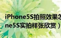 iPhone5S拍照效果怎么样像素是多少（iPhone5S实拍样张欣赏）