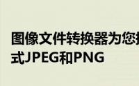 图像文件转换器为您提供最基本的图像文件格式JPEG和PNG