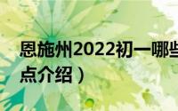 恩施州2022初一哪些景点免费的（恩施州景点介绍）