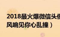 2018最火爆微信头像图片唯美个性（铃铛遇风响见你心乱撞）