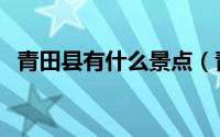 青田县有什么景点（青田县十大旅游景点）