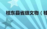 桂东县省级文物（桂东县文物古迹介绍）