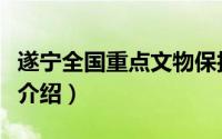 遂宁全国重点文物保护单位（遂宁市文物古迹介绍）