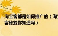 淘宝客都是如何推广的（淘宝客推广教程如何赚取利益淘宝客秘笈你知道吗）