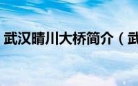 武汉晴川大桥简介（武汉晴川大桥简单介绍）